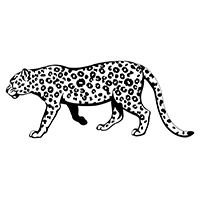 Cheetah 190